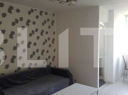 Apartament cu o camera, 33 mp, zona strazii Parang - Fotografie 3