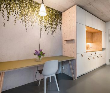 moderne, möblierte 1 Zimmer-Wohnung in Winterthur - Foto 1