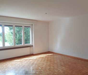 3.5 Zimmerwohnung in Oberengstringen - Photo 6