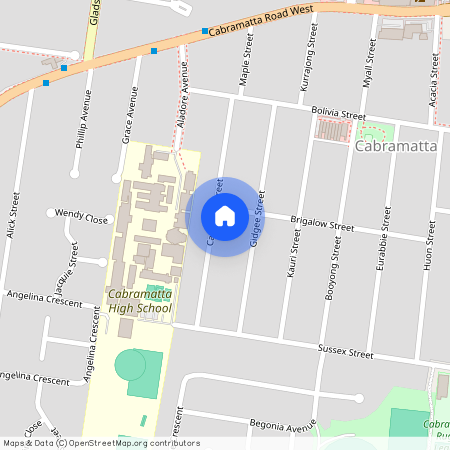 28 Carabeen Street, NSW 2166, Cabramatta