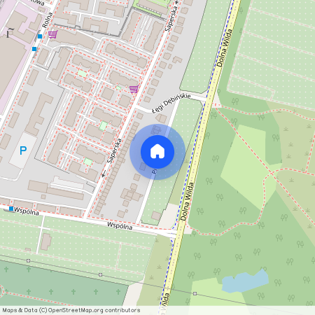 ul. Pionierska, Wilda, Wilda, Poznań, wielkopolskie