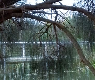 Williamstown North - Photo 2