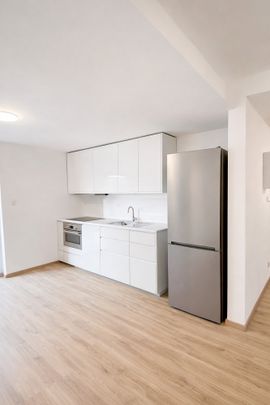 Pronájem bytu 1+kk 50 m² - Fotografie 1