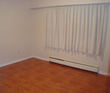 Large Renovated One Bedroom Suite in Mt Pleasant (Main & 12th) - Photo 1