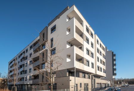 ++PROVISIONSFREI++ Hochwertiger 1-Zimmer Neubau-ZWEITBEZUG mit Balkon! - Foto 5