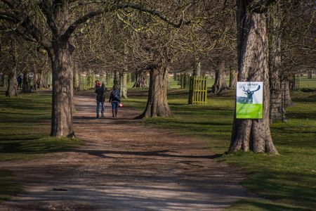 Harrowdene Gardens Teddington TW11 - Photo 3