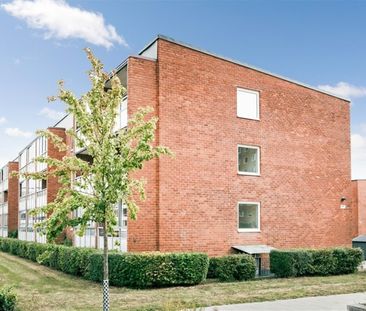 Professorsgatan 3C - Photo 6