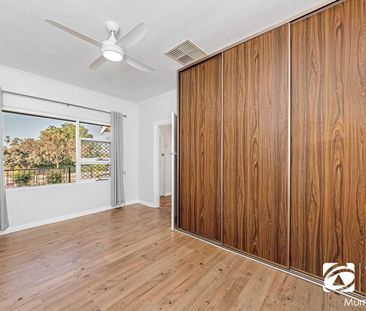 Entertainer's Dream with Ample Shedding - Photo 2