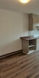 N-Rosemont 4.5 HAUT TRIPLEX près de tout; pas besoin de voiture! - Photo 4