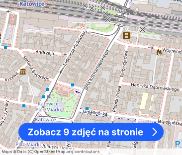 Przestronne mieszkanie w Centrum Katowic - Zdjęcie 1