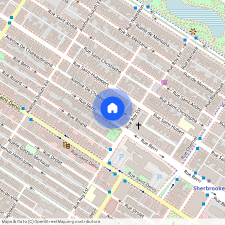 3845 Rue Berri, Plateau-Mont-Royal, Plateau-Mont-Royal, Ile de Montréal, H2W 2M1