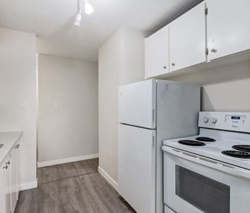 Renovated Suite - 2 Bedroom - Photo 4