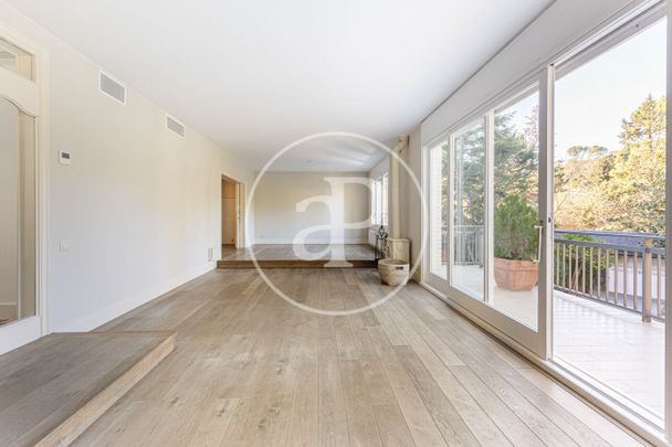 House for rent in the Golf area - Photo 1