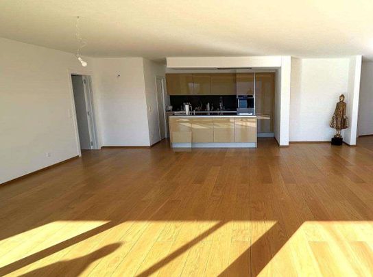 Vernate splendido appartamento con meravigliosa vista su lago e montag - Foto 1