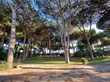 Trilocale via Appia Nuova 80, Frattocchie, Marino - Foto 3