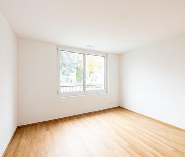 3.5 Zimmerwohnung in Schaffhausen - Photo 1