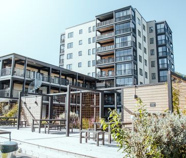 Frostaliden 2 - Photo 6