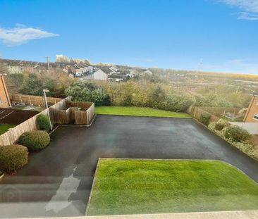 39 Mornington Lane, Lisburn, BT28 2WH - Photo 3