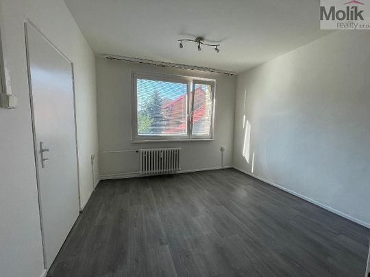 Pronájem bytu 1+1 35 m² - Photo 1