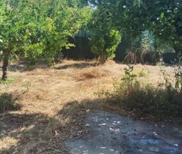 Μονοκατοικία για ενοικίαση - Σικυώνα, - Photo 5
