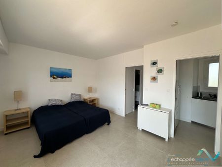 Studio climatisé pour 4 personnes à 50 m de la plage situé aux Salins d'Hyères - Photo 5