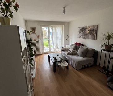 3 Zimmer, 57 m², EG - Foto 1