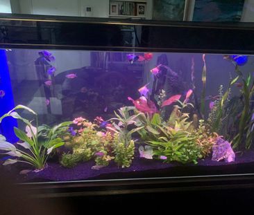 East Perth - Photo 1