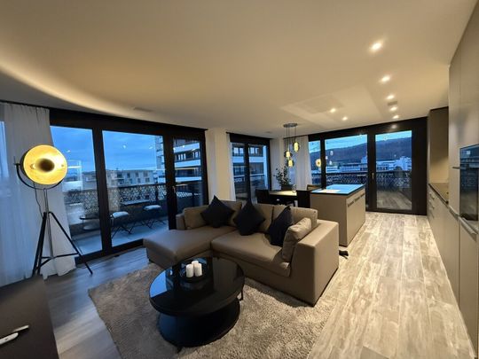 Modern 2.5-room apartment with balcony and panoramic view in Dübendorf - Photo 1