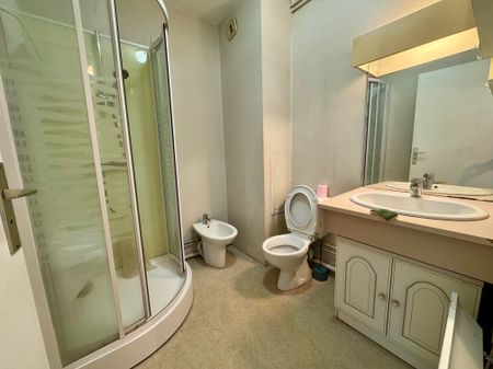 Location Appartement 2 pièces 27m² LIMOGES 87000 - Photo 3