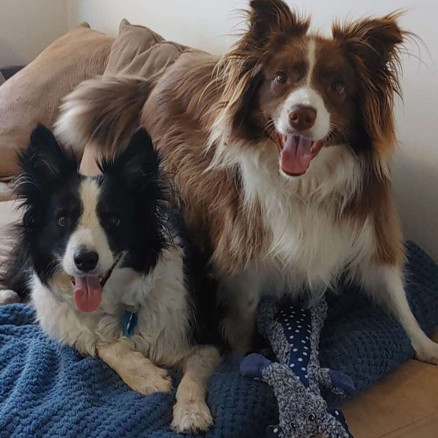 Forrestfield - Photo 1