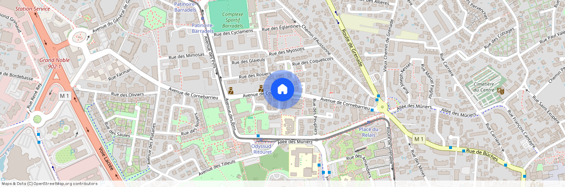 HAUTE-GARONNE (31), - OCCITANIE, CORNEBARRIEU (31700)