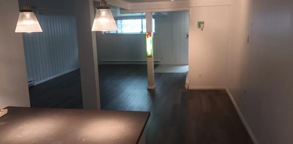 ANJOU GRAND 3 1/2 STYLE LOFT TOUT OUVERT RÉNOVÉ - Photo 2