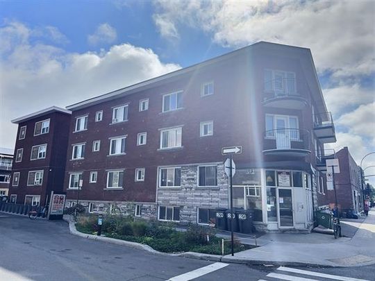 1820 Boul. Rosemont - Photo 1