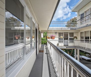 Sunlit Studio with Brand New Renovation! - Photo 5