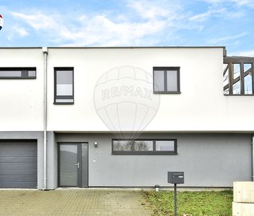 Maison 3 chambre(s) à louer - Hagenthal-le-Haut - Photo 2