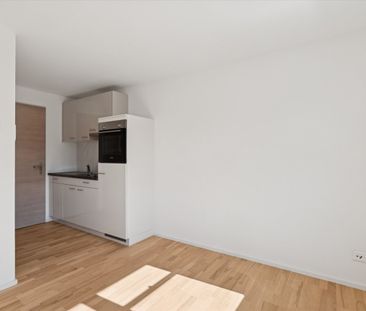 "Small but fine!" - Foto 4