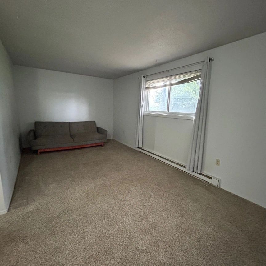 29 McNichol Avenue #1 - Photo 1