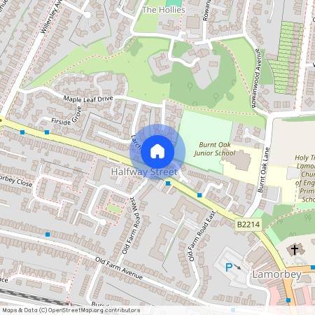 Larch Grove, Sidcup DA15