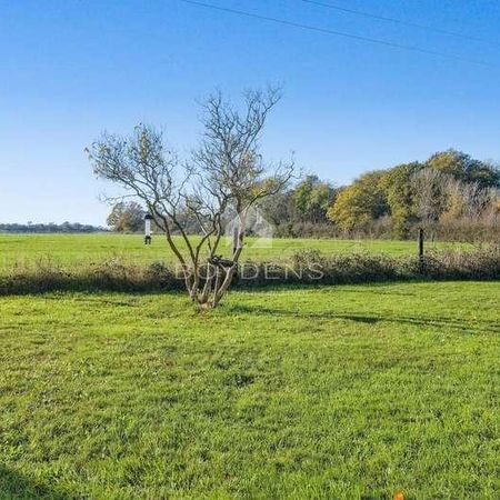 Rectory Road Little Bentley, CO7 - Photo 3