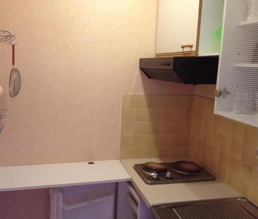 Location Appartement 1 pièce Meublé 21m² TOURS 37000 - Photo 4