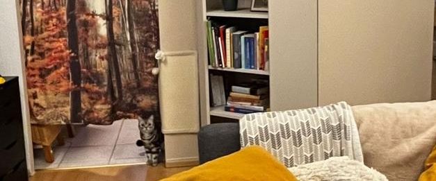 Gemütliche 2-Zimmer-Wohnung ab 1.1.25 in der Bonner Nordstadt - Foto 1