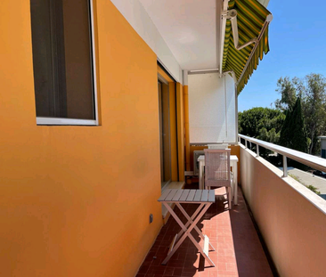 Location Appartement 1 pièce 20m² LE LAVANDOU 83980 - Photo 6
