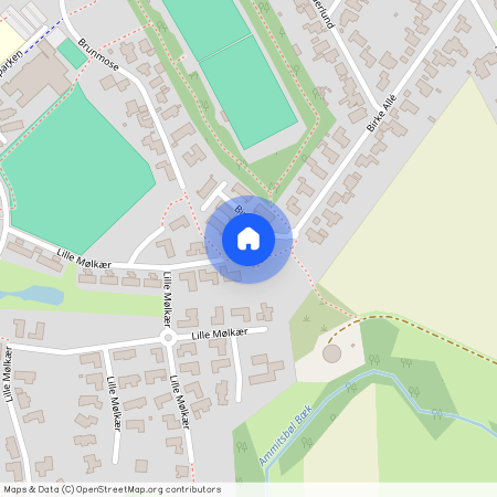 Birke Allé 30, 7100 Vejle