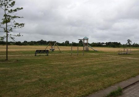 Boomvalk 19 - Photo 4