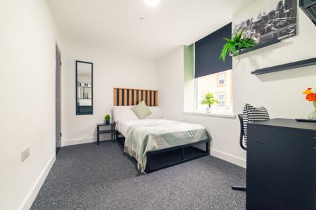 Spencer Street, Cathays - Photo 5