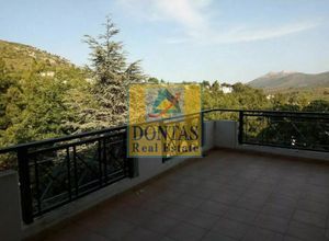 Διαμέρισμα για ενοικίαση - Διόνυσος, - Φωτογραφία 4