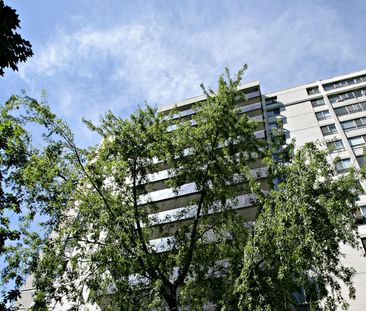 For Lease - 6200 Bathurst Street Unit# 312, Toronto, Ontario - Photo 2