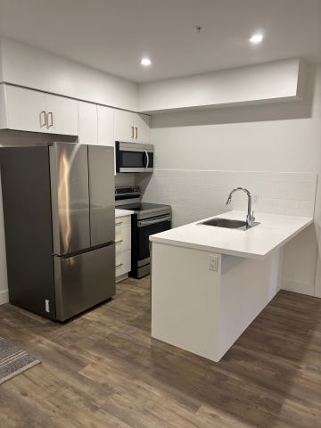 For Lease - 69 Curtis Street Unit# 302, St. Thomas, Ontario - Photo 4