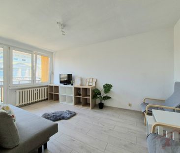 2 pokoje|Centrum|odświeżone|wszędzie blisko|balkon (427444) - Zdjęcie 1