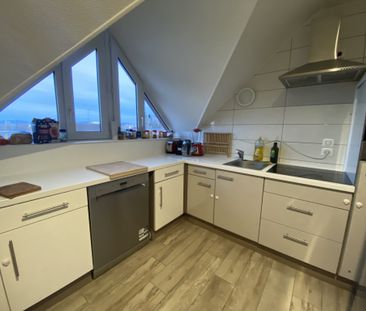 Location Appartement 3 pièces 55m² ST LOUIS 68300 - Photo 3